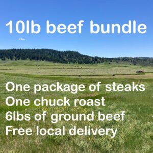 10 LBs Beef bundle